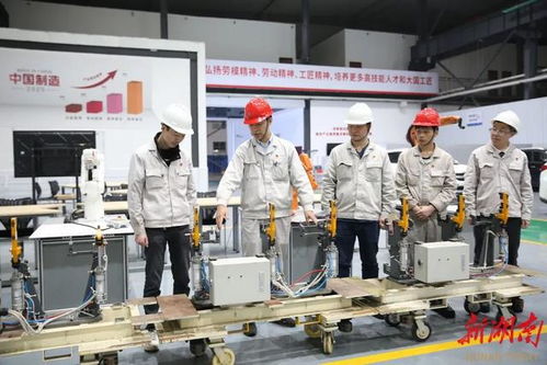 青春力量動(dòng)長(zhǎng)沙 一座城市與青年雙向奔赴的時(shí)代脈動(dòng)